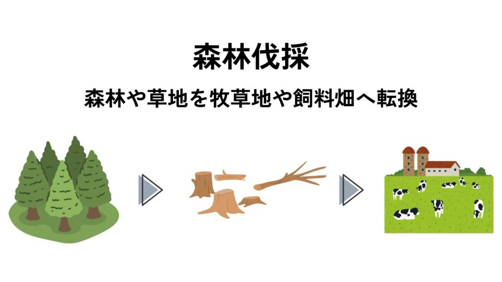 牛肉生産 環境問題「森林伐採」