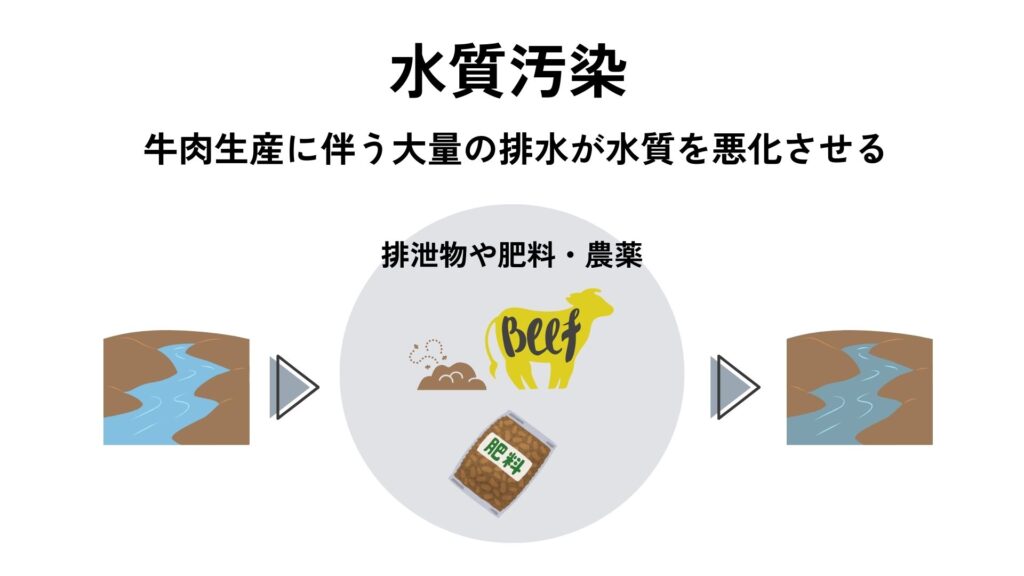 牛肉生産 環境問題「水質汚染」
