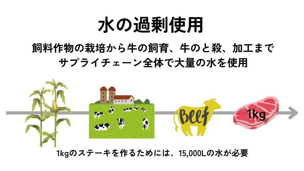 牛肉生産 環境問題「水の過剰使用」