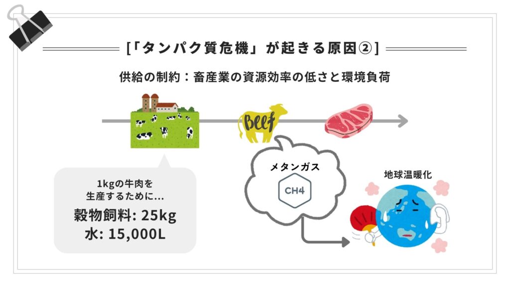 タンパク質危機が起きる原因②