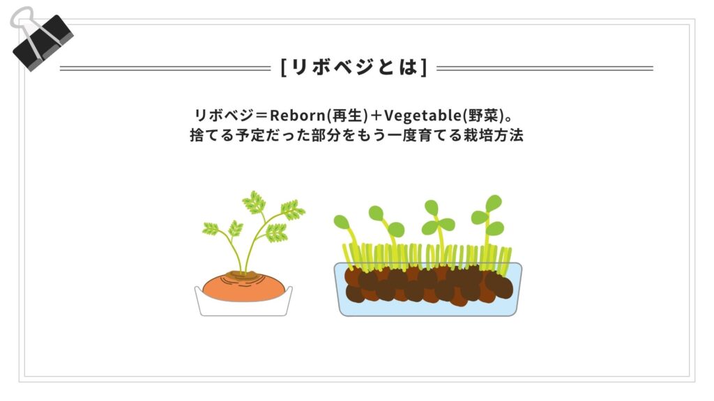 リボベジとは