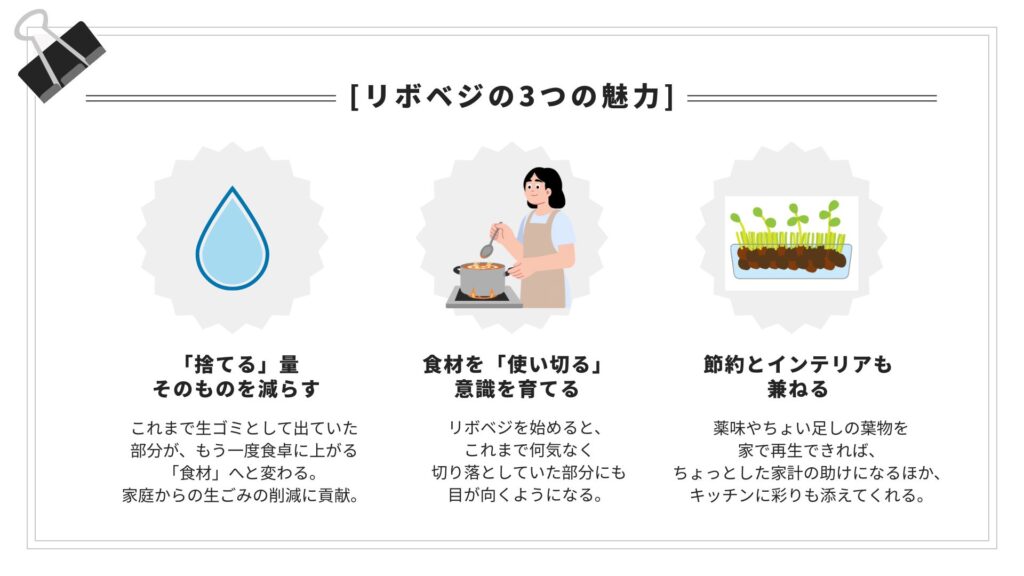 リボベジの3つの魅力