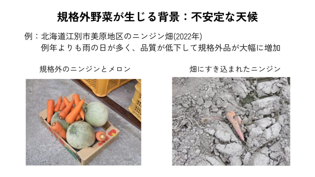 規格外野菜が生じる背景:不安定な天候